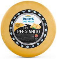 Queso Reggianito Horma