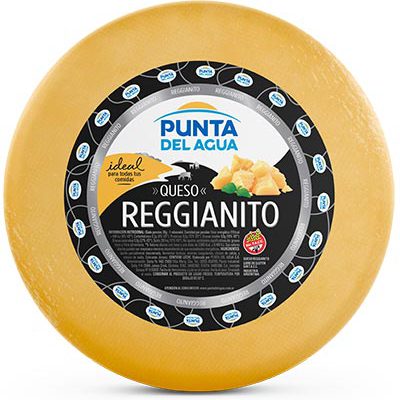Reggianito Cheese Wheel