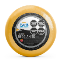 Reggianito Cheese Wheel