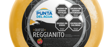 Reggianito Cheese Wheel