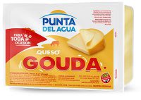 Queso Gouda Porcionado