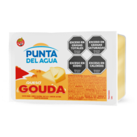 Queijo Gouda Fatiado