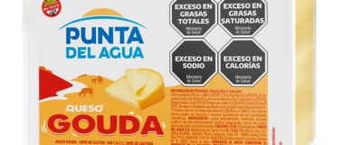 Queijo Gouda Fatiado