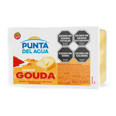 Queijo Gouda Fatiado