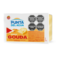 Gouda Cheese Block