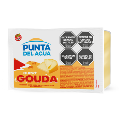 Gouda Cheese Block